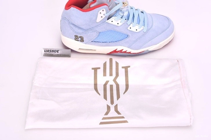 400 Trophy CI1899 Ice 5   Retro Jordan - Blue Room 0417